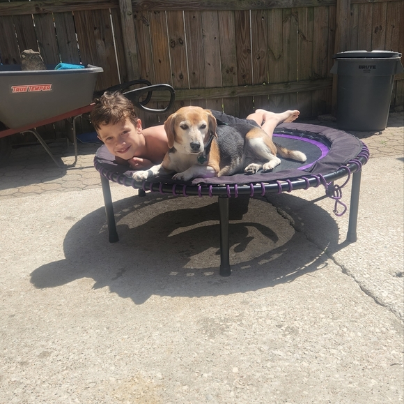 Meet your Posher, Azra - Picture 4 of 8